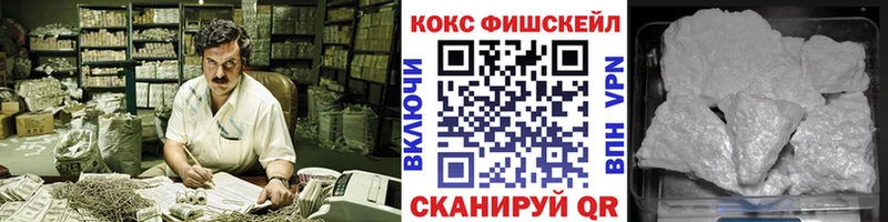 нарко площадка какой сайт  Советская Гавань  Кокаин Fish Scale  купить закладку 