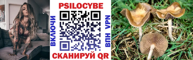 Галлюциногенные грибы прущие грибы Советская Гавань