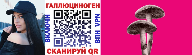 Галлюциногенные грибы Psilocybine cubensis Советская Гавань