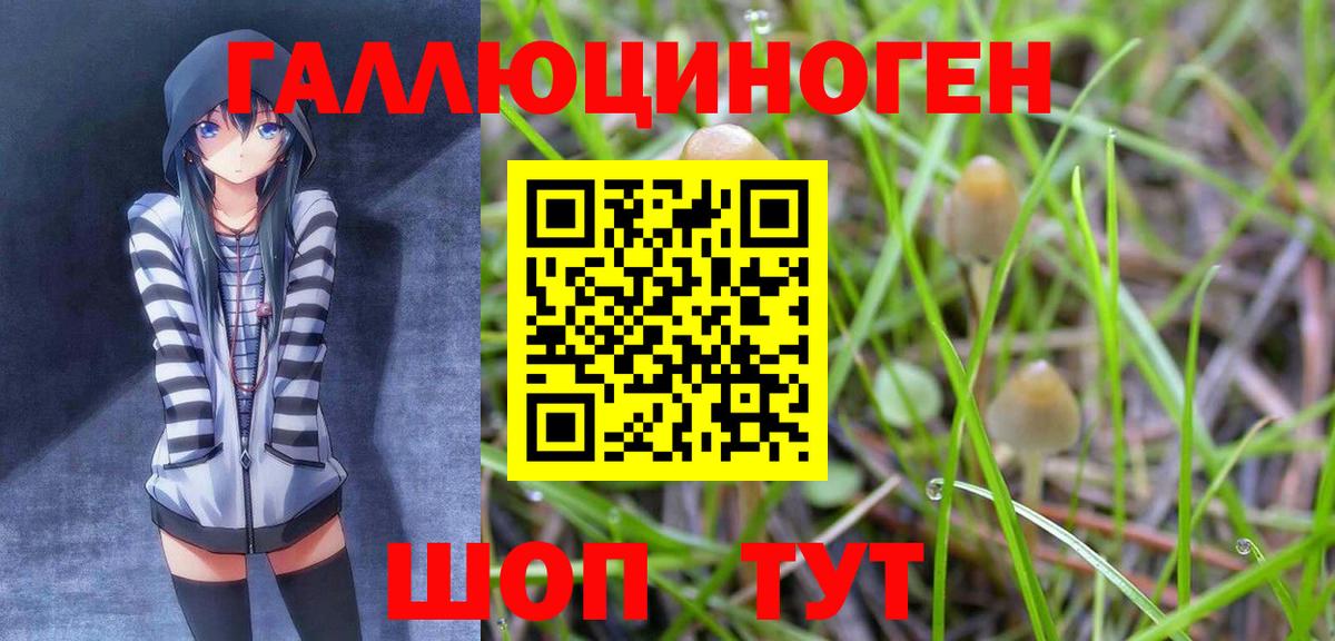 Галлюциногенные грибы ЛСД Советская Гавань